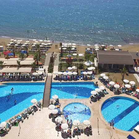 Notion Kesre & Özdere